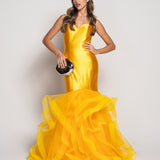 Voluminous Tulle Fitted Glamour Dress