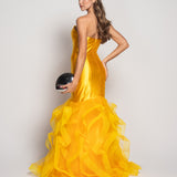 Voluminous Tulle Fitted Glamour Dress